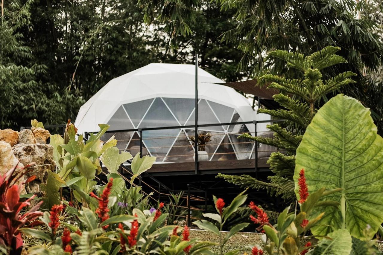 150 Peakway Mountain Resort Dalaguete Εξωτερικό φωτογραφία